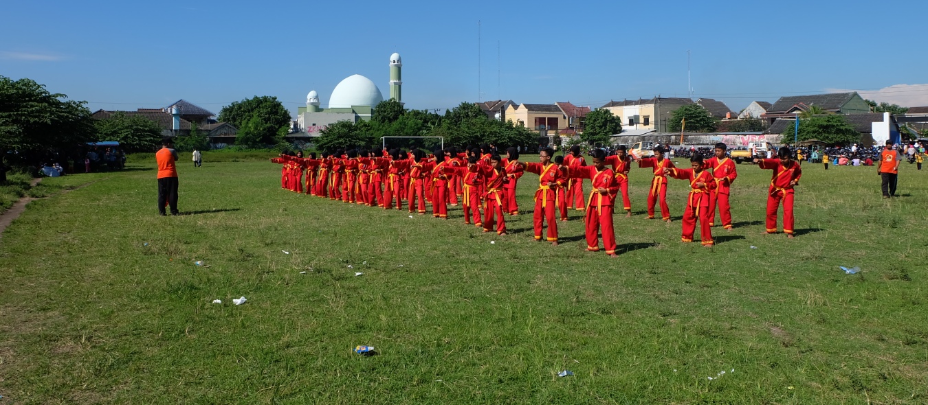Kegiatan Ekstrakurikuler Tapak Suci